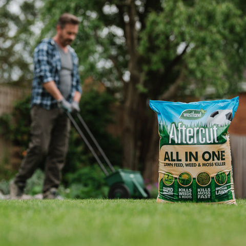 Aftercut All in One Lawn Feed, Weed and Moss Killer, 500 m2, 17.5 kg